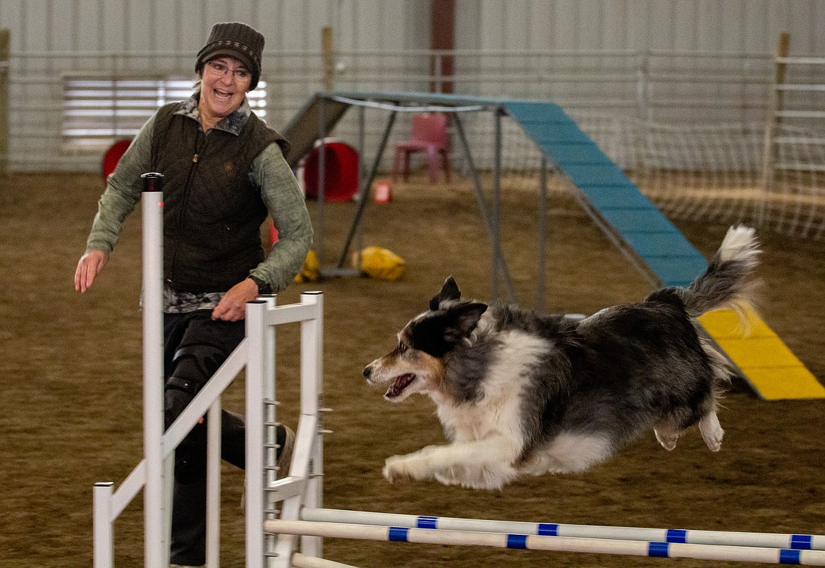 AKC Agility Trials Bring Trainers And Canines From Around The Northwest 